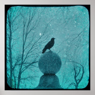 Poster Snowy Blue Crow