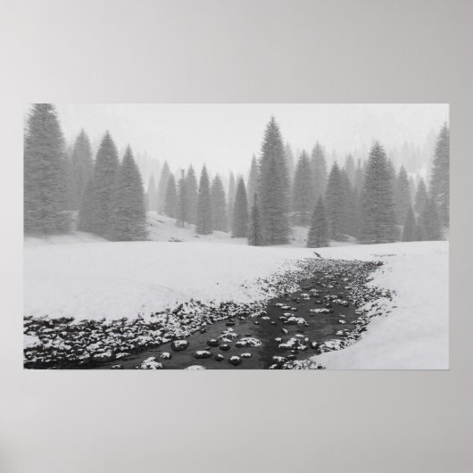 Poster Snowy Creek (Devant)