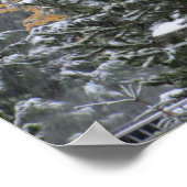 Poster Snowy Day à Whistler, C.-B. (Coin)