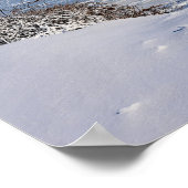 Poster Snowy Delaware River (Coin)