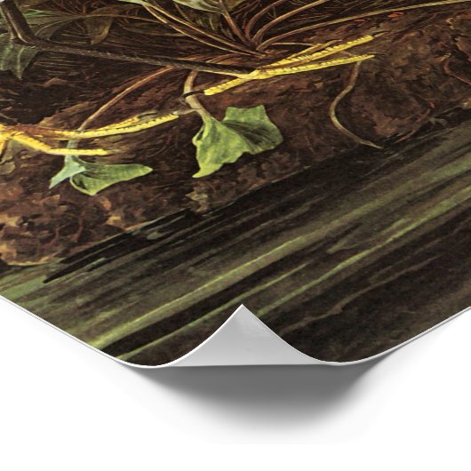 Poster Snowy Egret, John James Audubon (Coin)