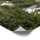 Poster Snowy Mt. Diablo (Coin)