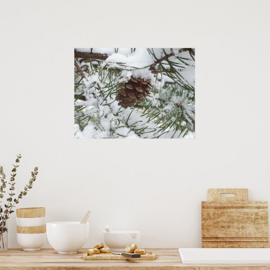 Poster Snowy Pine Cone I (Cuisine)