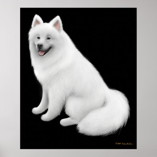 Poster Snowy Samoyed Chien Imprimer (Devant)