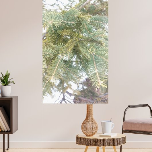 Poster Snowy Spruce Tree Boughs. Buy Now (Salon 3)