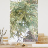 Poster Snowy Spruce Tree Boughs. Buy Now (Cuisine)