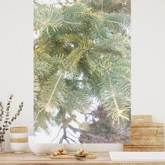 Poster Snowy Spruce Tree Boughs. Buy Now (Cuisine)