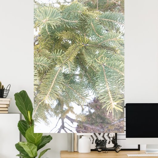 Poster Snowy Spruce Tree Boughs. Buy Now (Bureau à domicile)