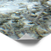 Poster Snowy Vista de la forêt pétrifiée (Coin)