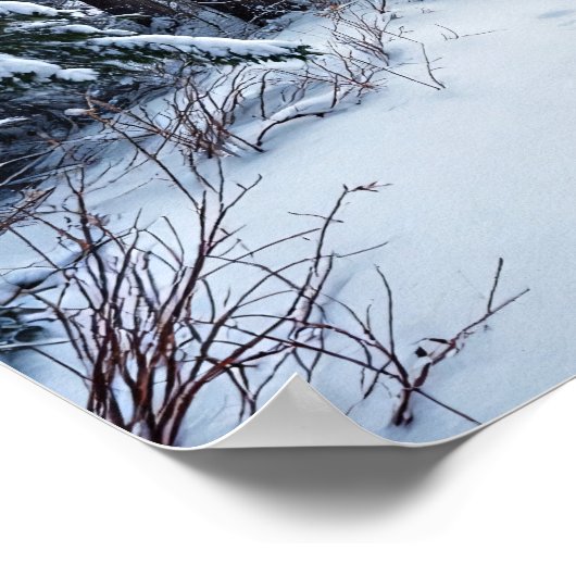 Poster Snowy Winter Forest Path With Footprints Hiking (Coin)