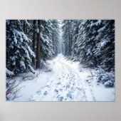 Poster Snowy Winter Forest Path With Footprints Hiking (Devant)