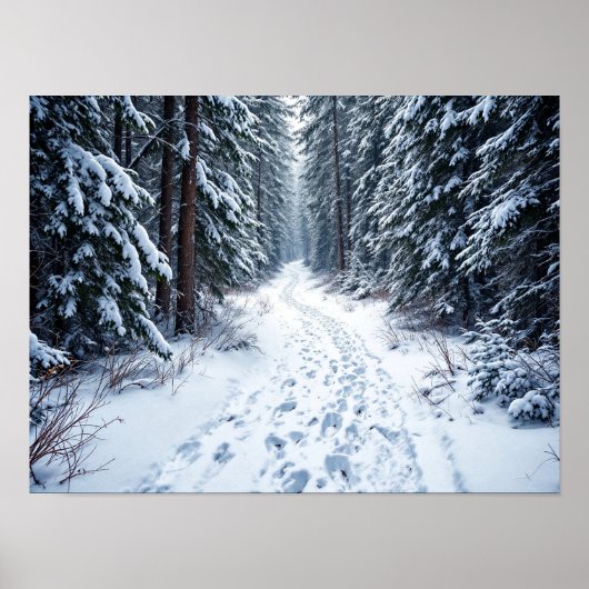 Poster Snowy Winter Forest Path With Footprints Hiking (Devant)