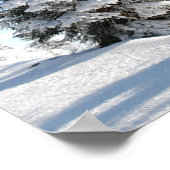 Poster Snowy Winter Scene with Christmas Trees (Coin)