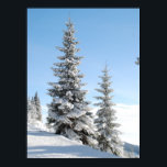 Poster Snowy Winter Scene with Christmas Trees<br><div class="desc">Snowy Winter Scene with Christmas Trees</div>