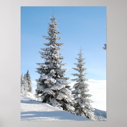 Poster Snowy Winter Scene with Christmas Trees (Devant)