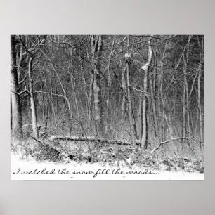 Poster Snowy Woods
