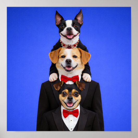 Poster "So Happy Together" (Devant)