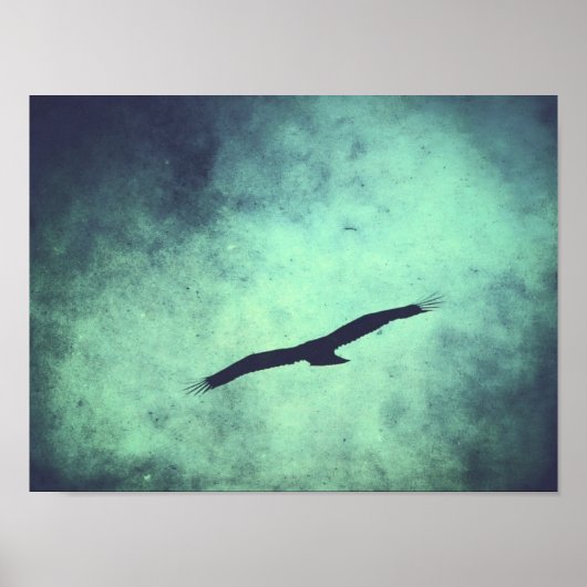 Poster Soar (Devant)