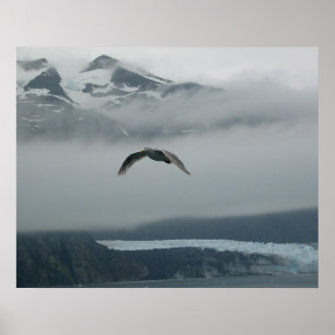 Poster Soar Among The Clouds