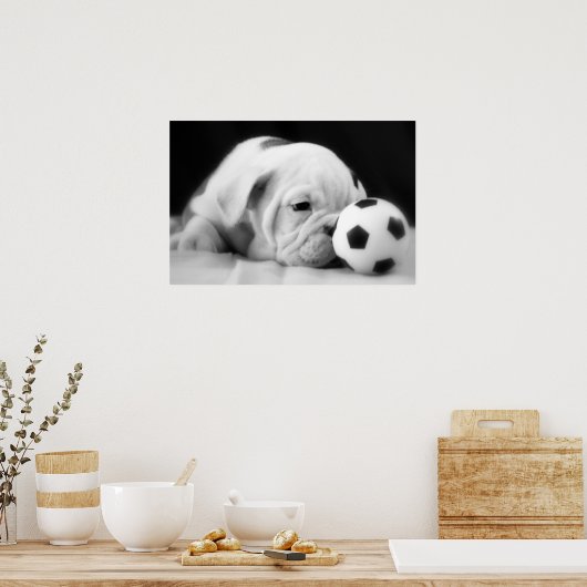 Poster "Soccer Ball Nez" Français Chien de taule (Cuisine)