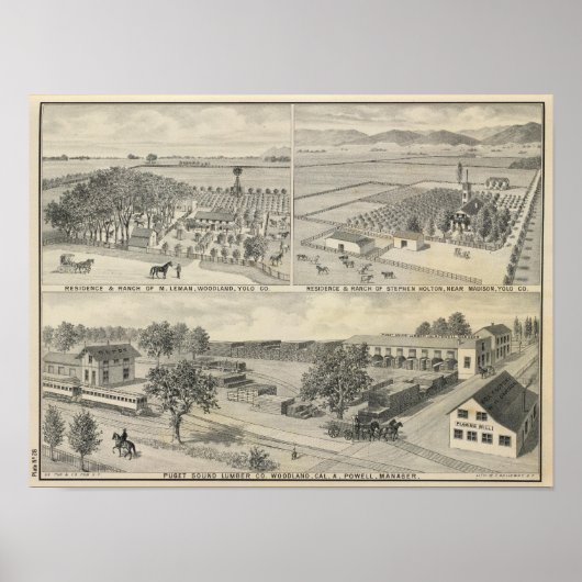 Poster Société du bois (Devant)