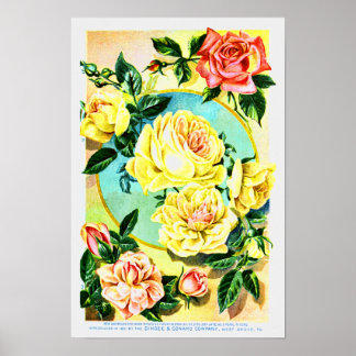 Poster Société Vintage rose de semences de fleurs