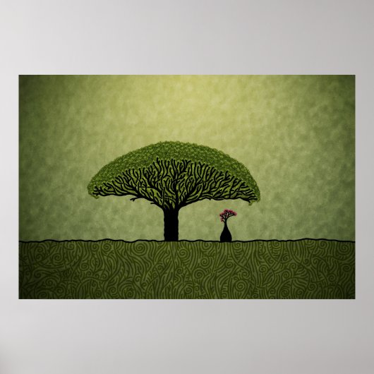 Poster Socotra (Devant)