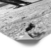 Poster Soda Shack, années 40 (Coin)