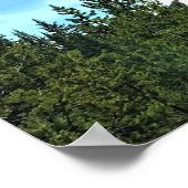 Poster Soeur du Sud, Oregon (Coin)