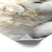 Poster Soeurs (Coin)