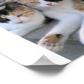 Poster Soeurs (Coin)