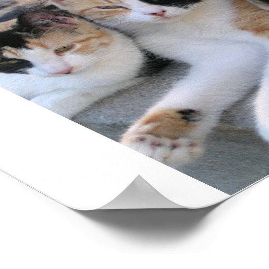 Poster Soeurs (Coin)