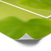 Poster Soft Green Summer (Coin)