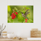 Poster Soft Green Summer (Cuisine)