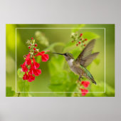 Poster Soft Green Summer (Devant)