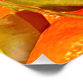Poster Soft Orange Fruit Aesthétique (Coin)