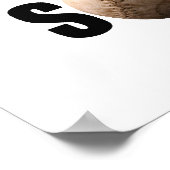 Poster Softball (Coin)