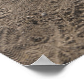 Poster Softball, gant de softball et chauve-souris à la p (Coin)