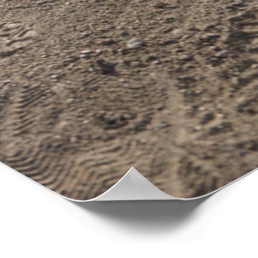 Poster Softball, gant de softball et chauve-souris à la p (Coin)