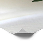 Poster Soie blanche luxueuse et fluide et roses blanches. (Coin)