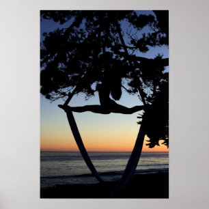 Poster Soies aériennes au coucher du soleil Vertical