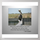 Poster Soins (Devant)