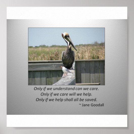 Poster Soins (Devant)