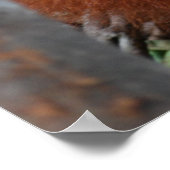 Poster Soins dentaires Floss Dentiste pour enfants (Coin)