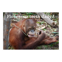 Soins dentaires Floss Dentiste pour enfants