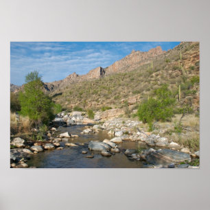 Poster Soirée de canyon de Sabino