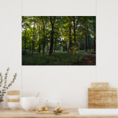 Poster Soirée D'Été, Bute Park, Cardiff (Cuisine)