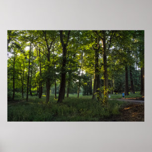Poster Soirée D'Été, Bute Park, Cardiff