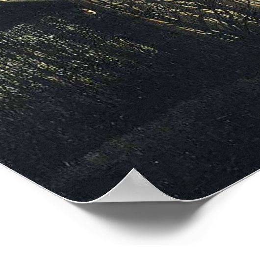 Poster 'Soirée du Carnaval' (Coin)