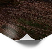 Poster Soirée paisible à Newtown (Coin)